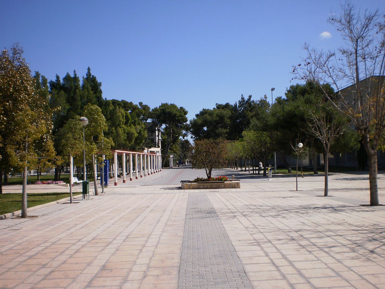 Campus of the University of Alicante 5